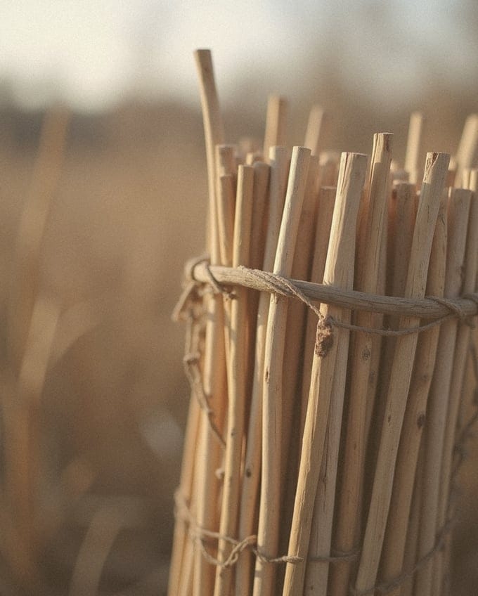 UNESCO i polskie plecionkarstwo — tradycja, która trwa